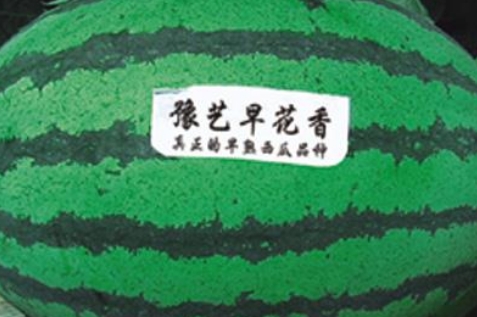 富联娱乐早花香