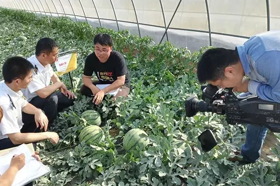 寒流无情，农大和富联娱乐有爱