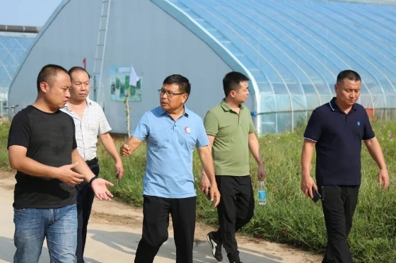 本分富联娱乐 助力农业发展提质增效