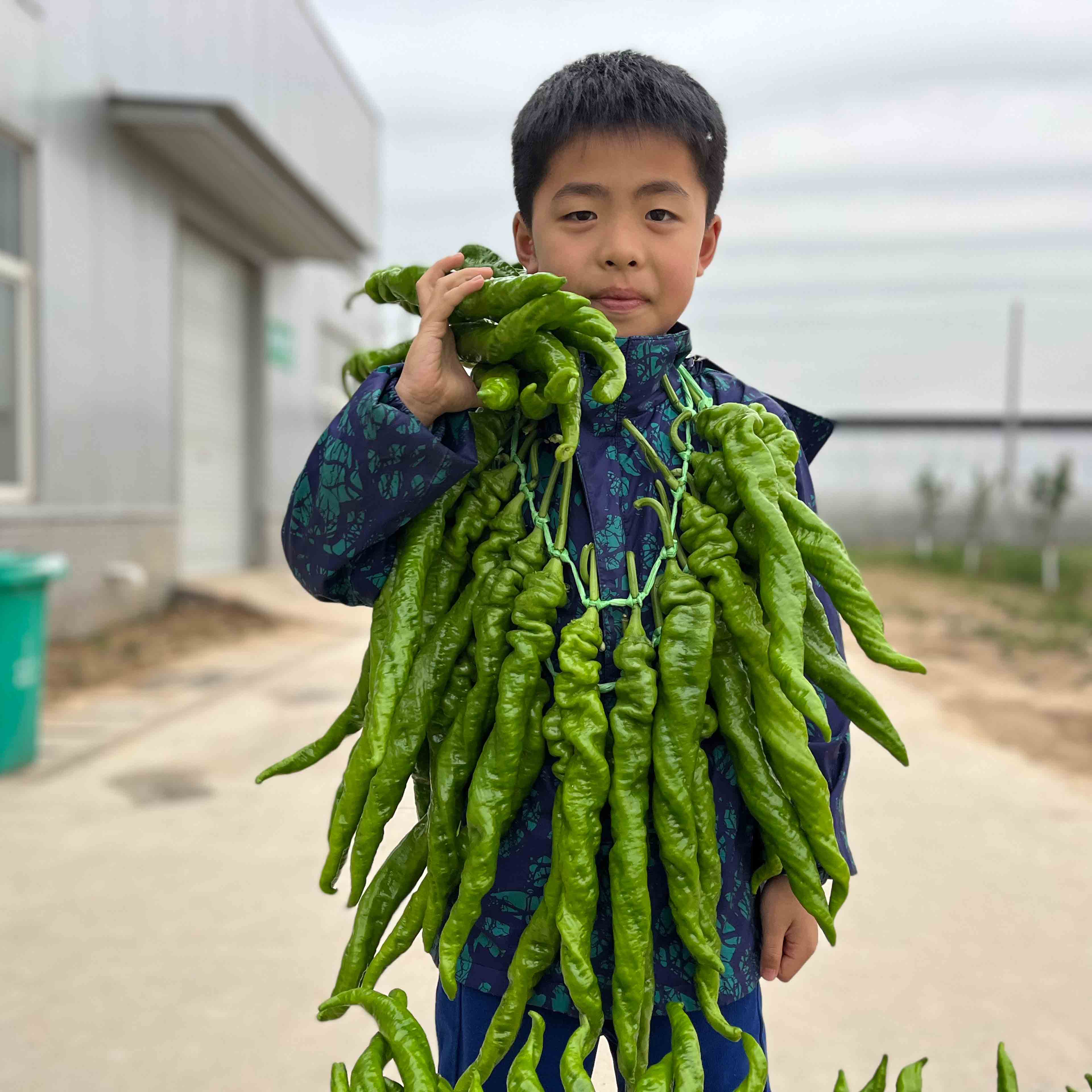 富联娱乐大ma花