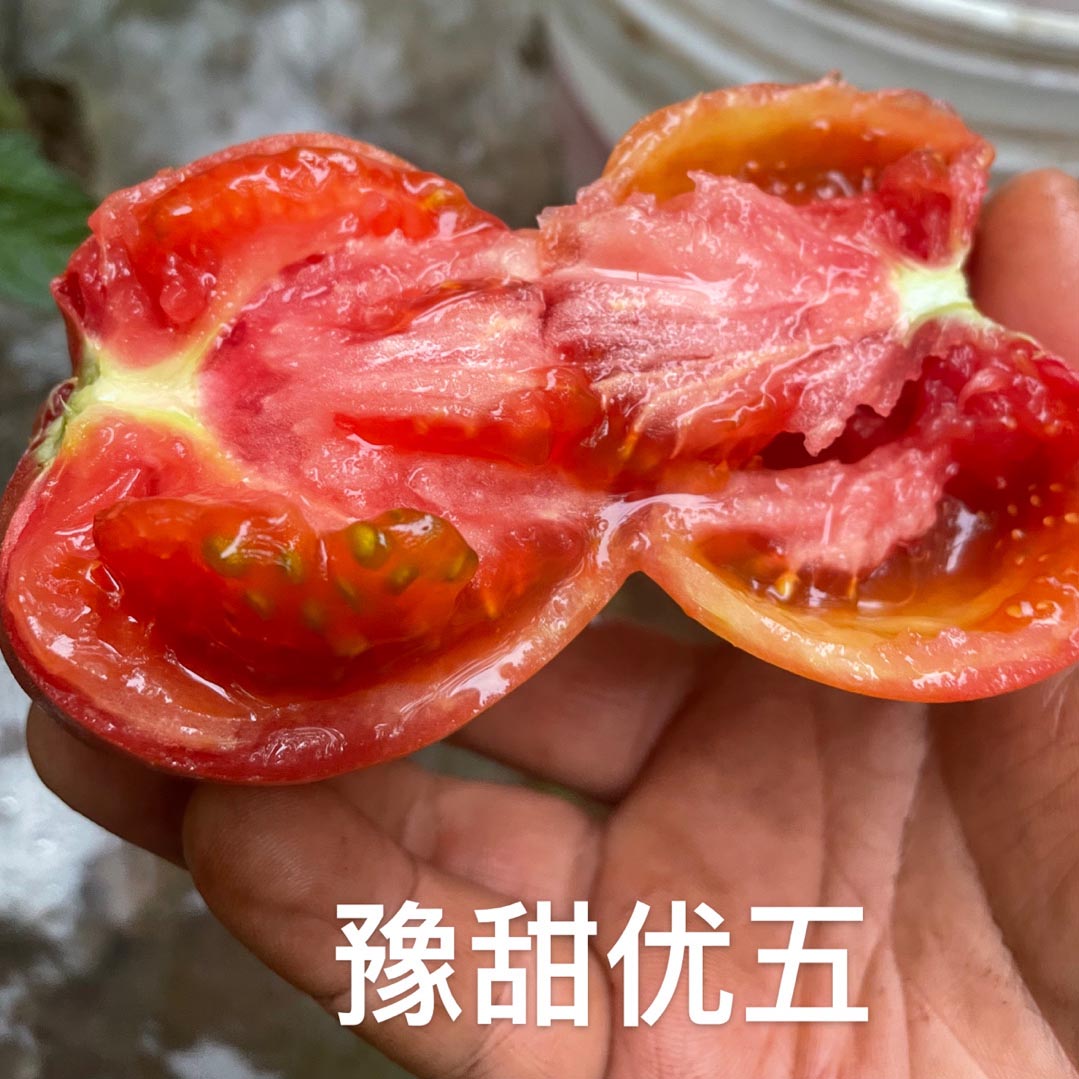 富联娱乐优五
