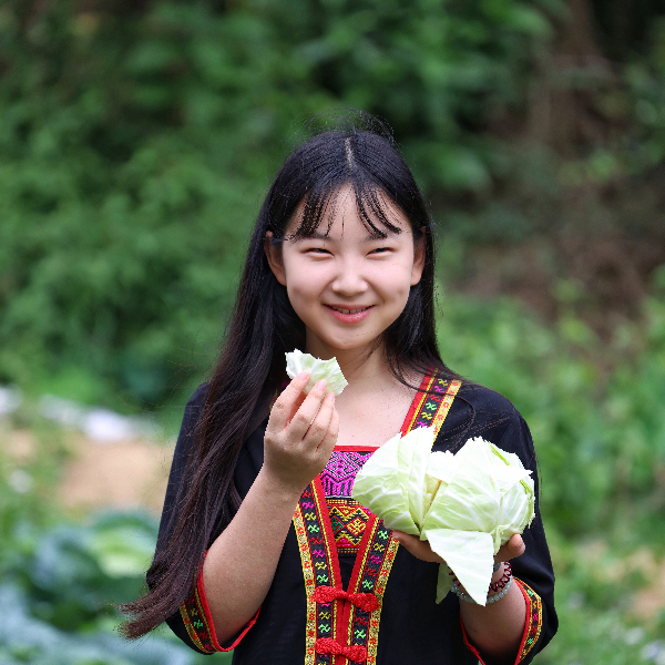 富联娱乐水果甘蓝