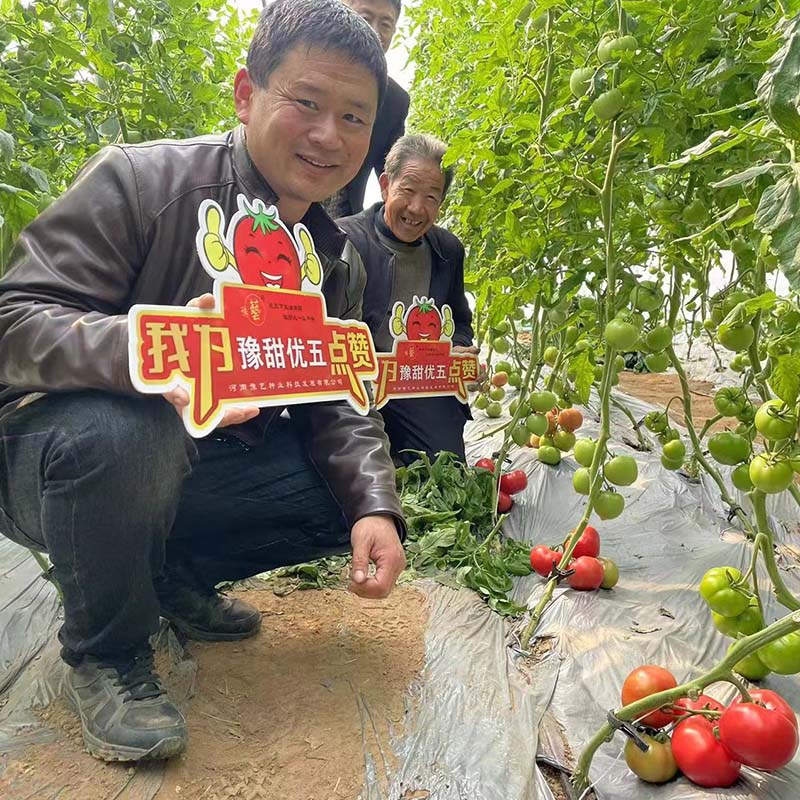 富联娱乐优五