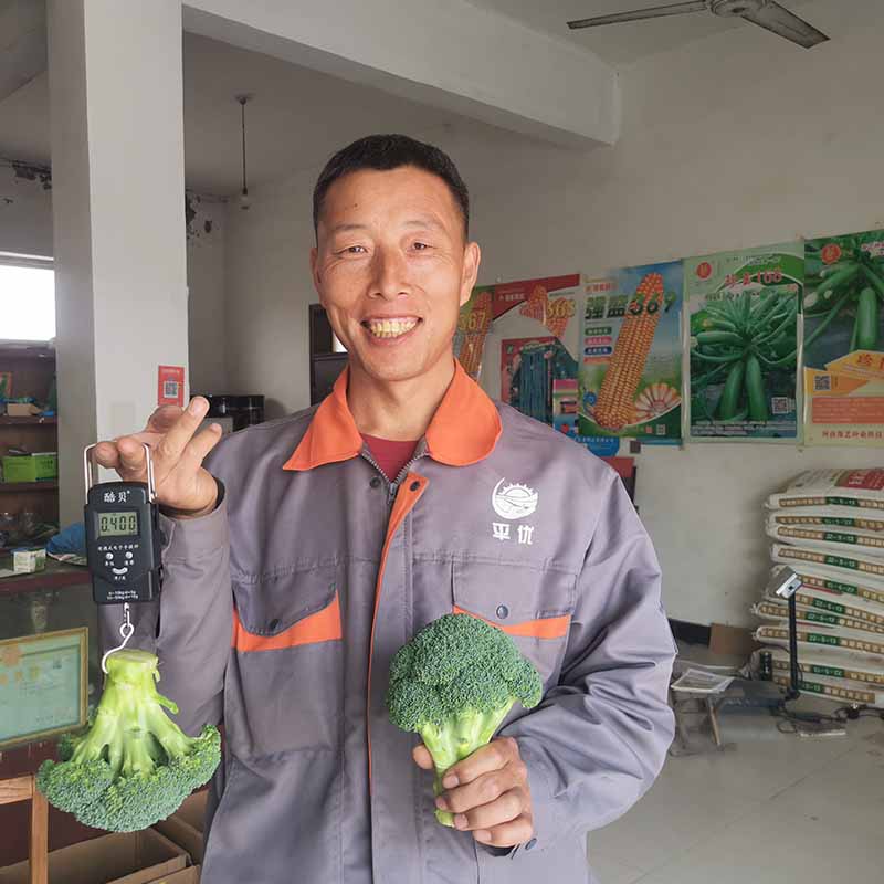 富联娱乐鲜绿