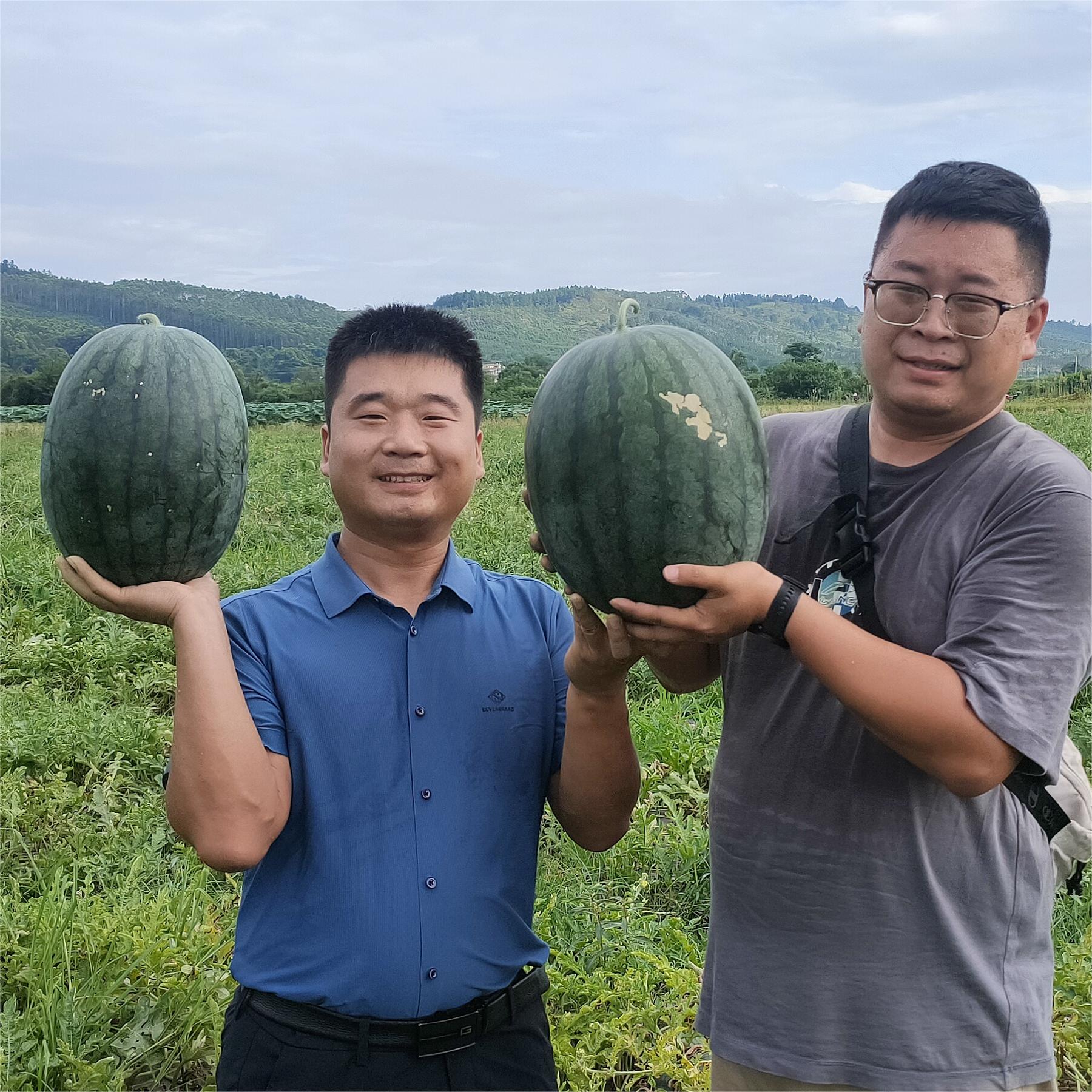 富联娱乐黑娃二号