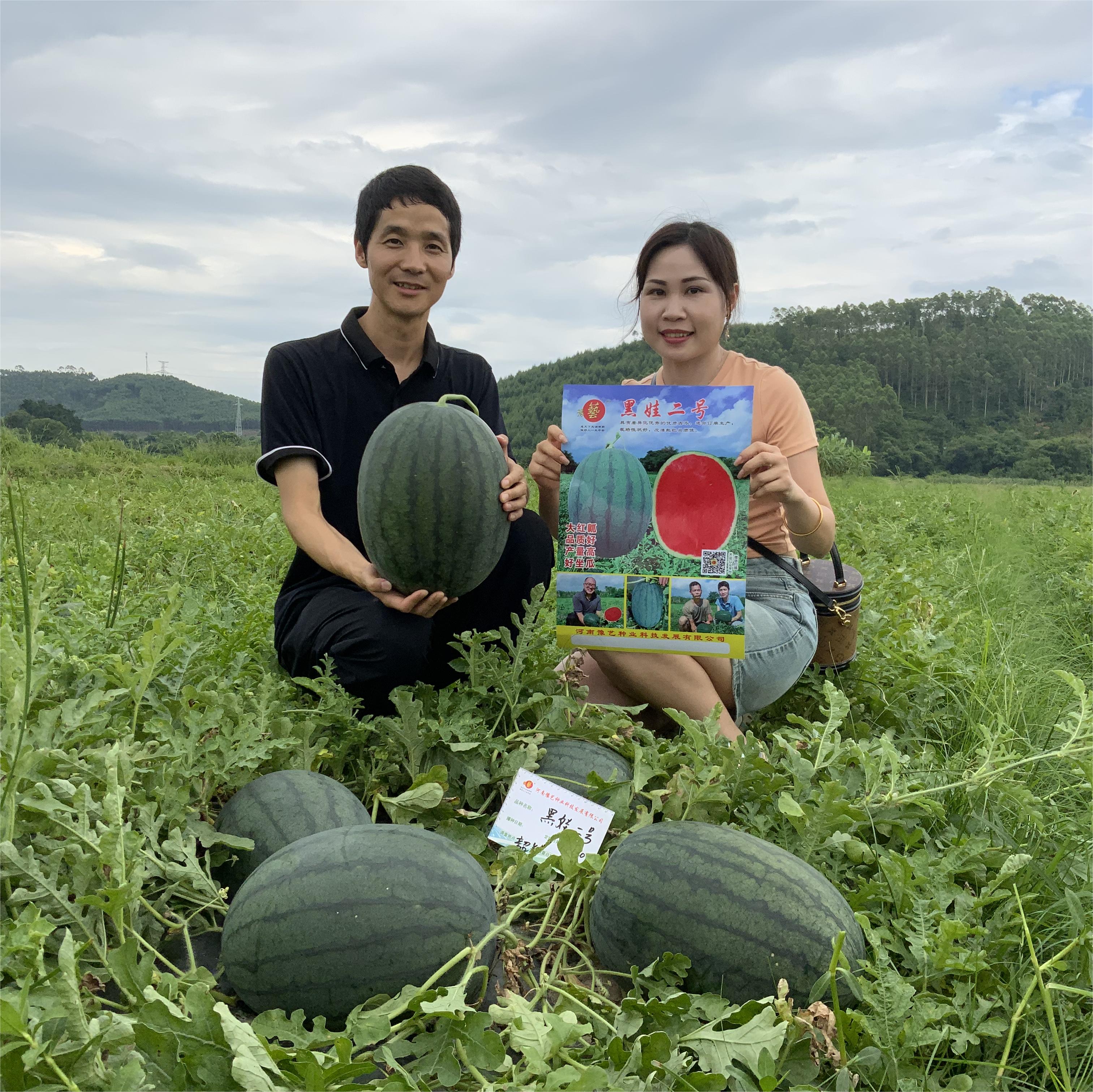 富联娱乐黑娃二号