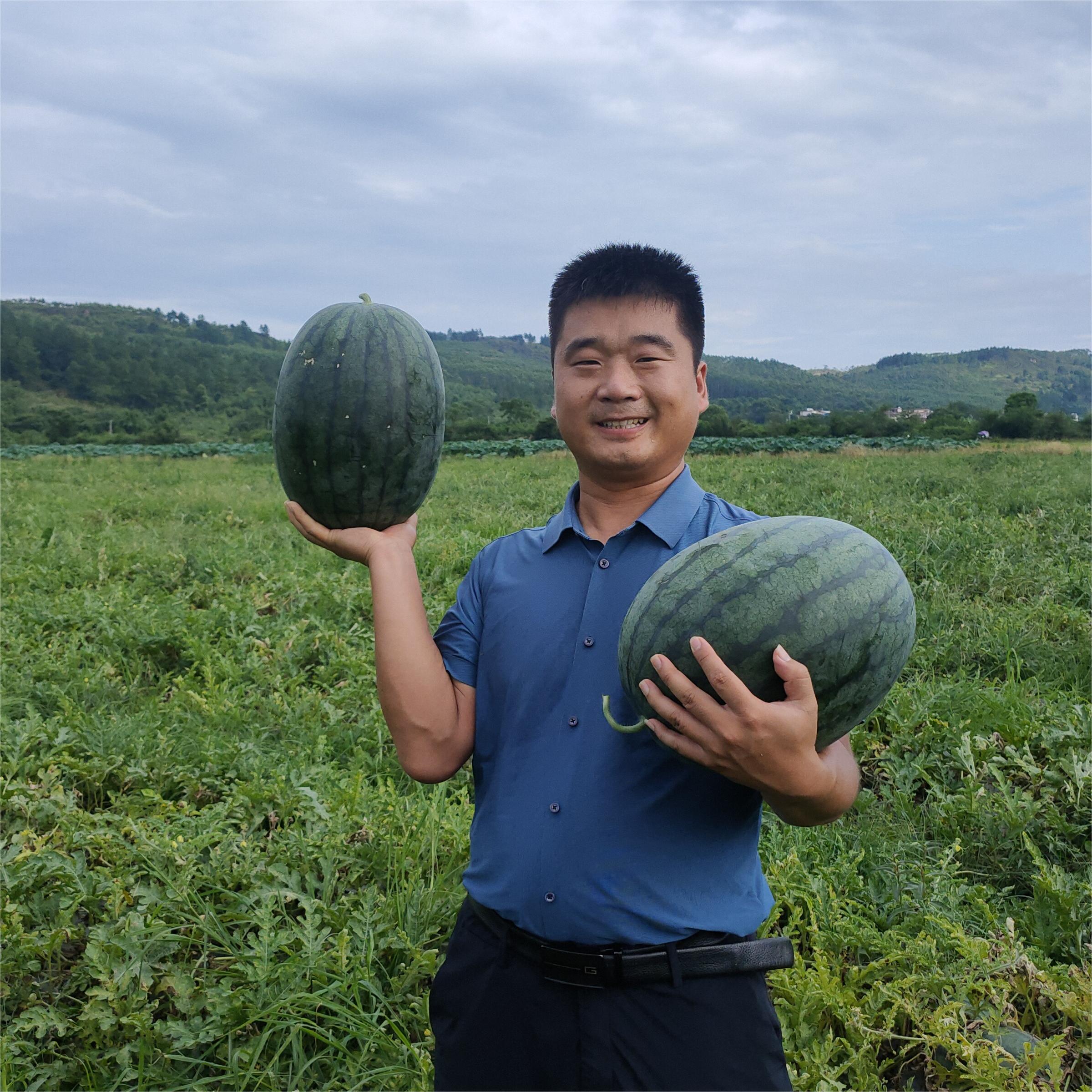 富联娱乐黑娃二号