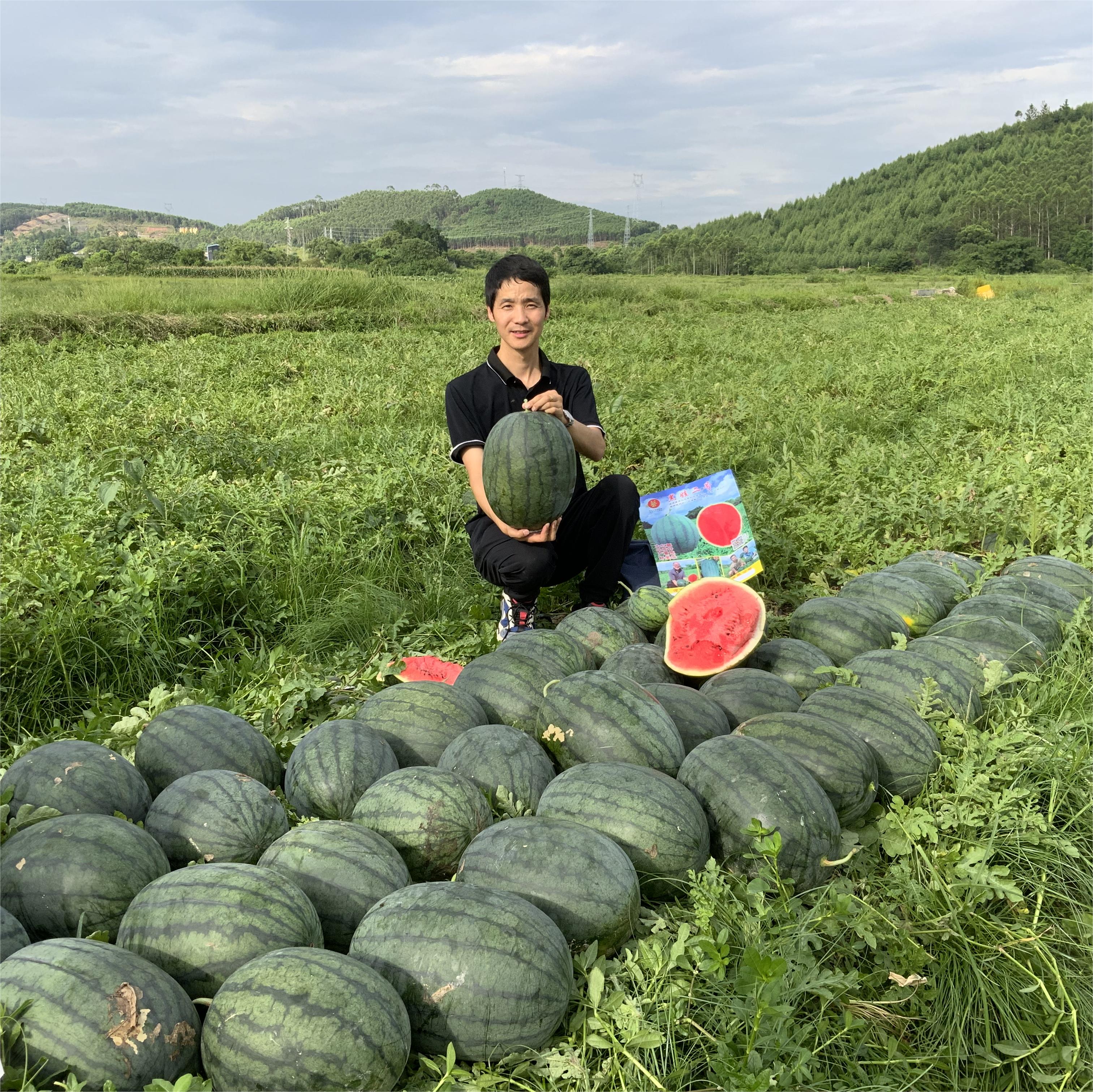 富联娱乐黑娃二号