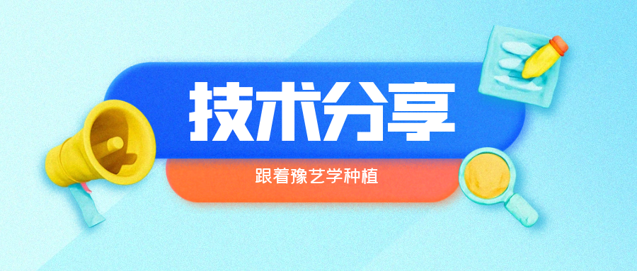 秋大棚辣椒、番茄育苗关键技术分享